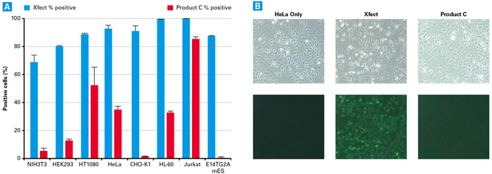 Protein transfection efﬁciencies across different cell lines