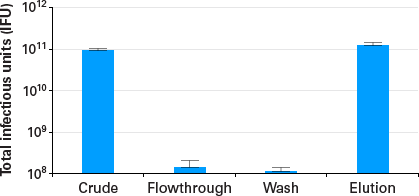 Adeno-X Mega Purification yields nearly quantitative recoveries