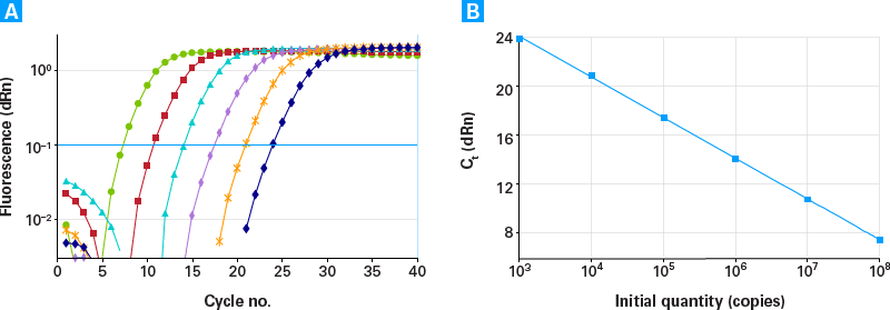 Dynamic range of Adeno-X qPCR