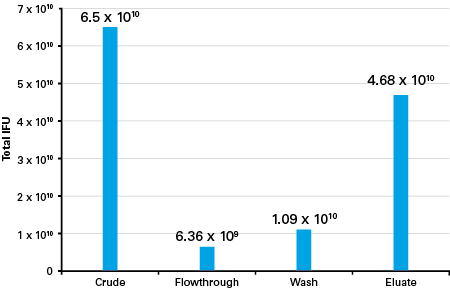 Mass balance analysis of the Adeno-X Maxi Purification Kit protocol