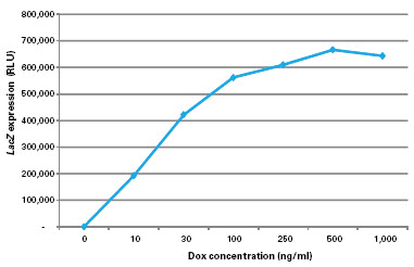 The Adeno-X Tet-On 3G Systems are highly inducible