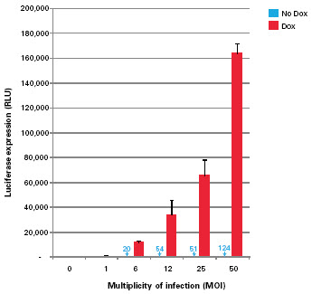 Expression increases with higher M.O.I.s.