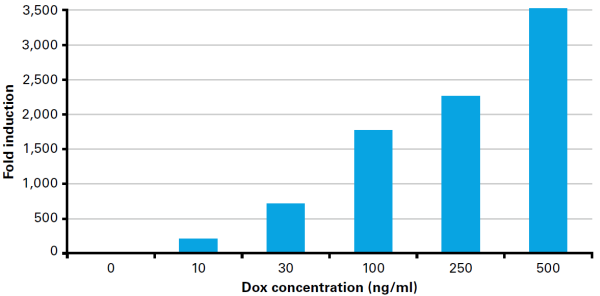 The Adeno-X Tet-On 3G Systems generate very high-fold induction, with up to 3,000-fold difference between induced and uninduced states.