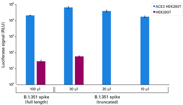 Transduction of ACE2 HEK293T cells using B.1.351 SARS-CoV-2 pseudovirus encoding luciferase