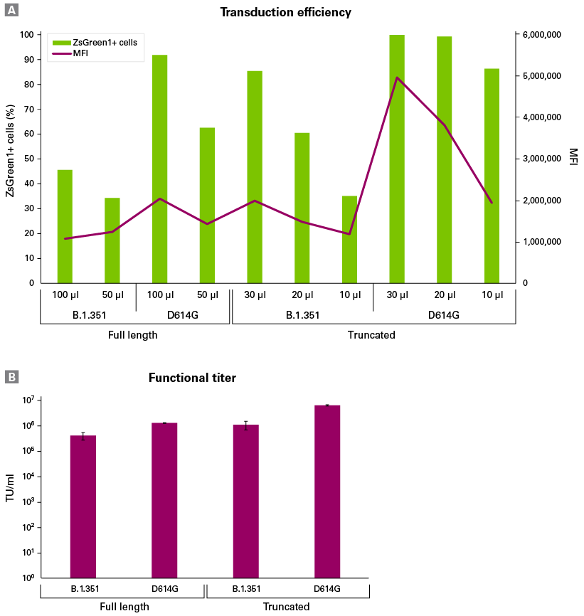 Transduction efficiencies and infectious titers using Lenti-X SARS-CoV-2 Packaging Single Shots