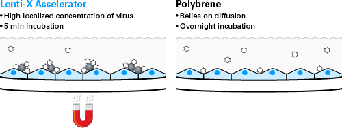 Polybrene relies on diffusion which is slow. Lenti-X uses a magnetic field to accerate lentiviral transduction.