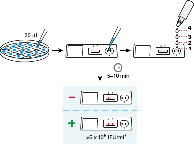 Lentiviral titration in 10 minutes