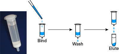 Lentivirus purification kit