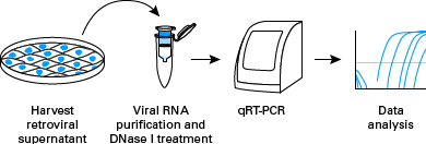 Lentiviral titration by qRT-PCR