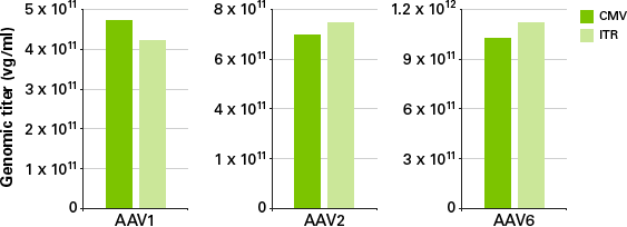 AAV titer by qPCR