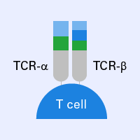 Immune repertoire profiling