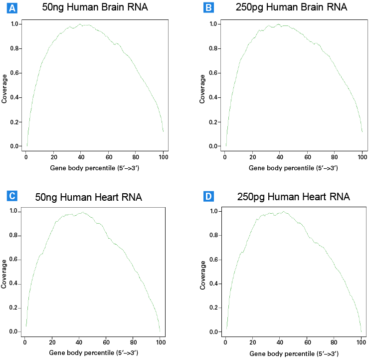 Gene body coverage of libraries generated from human brain and heart total RNA using the SMARTer Stranded Total RNA-Seq Kit v2 - Pico Input Mammalian