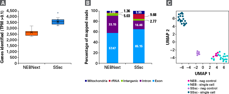 Three charts data charts comparing the NEBNext protocol results to that of SSsc