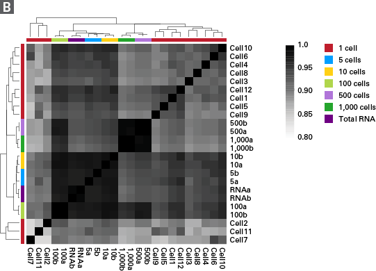 High reproducibility of libraries generated across input cell amounts