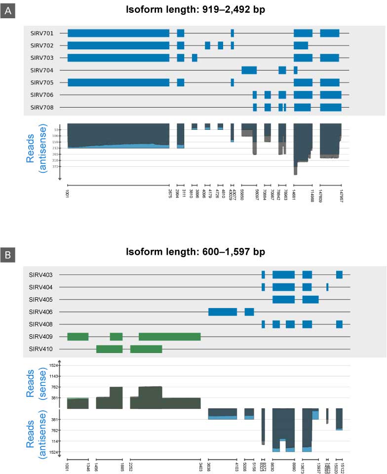 Visualization showing completeness of fragment lengths and strand orientation accuracy of the SSmRNA LR kit