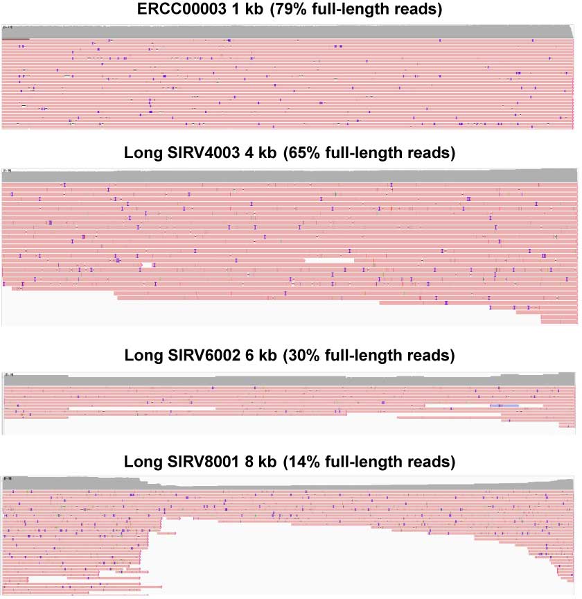 SMART-Seq mRNA LR performance with mRNA reference standards