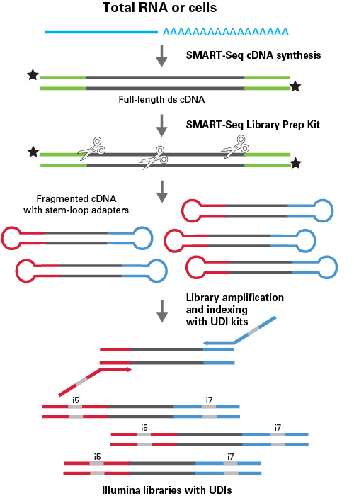 SMART-Seq HT chemistry