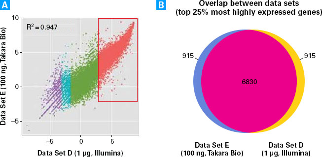 Assessing the efficiency of the SMARTer Stranded Total RNA Sample Prep Kit - HI Mammalian for sequencing of partially degraded input RNA.