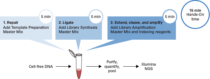 SMARTer ThruPLEX Plasma-Seq workflow