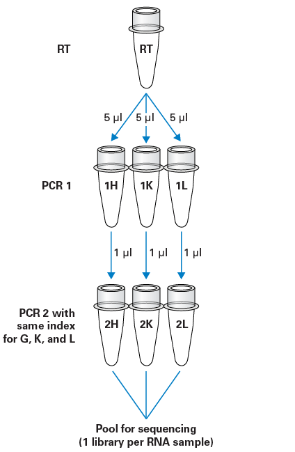 PCR cycling and pooling workflow