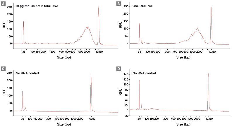 SMARTer -seq HT