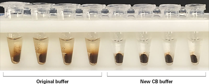 Improved bead-pellet formation with new SeqAmp CB PCR Buffer