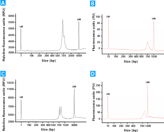 Electropherogram profiles of TCR sequencing libraries