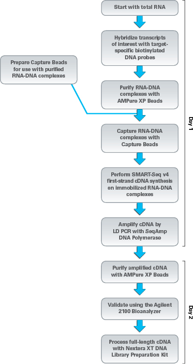 Protocol overview