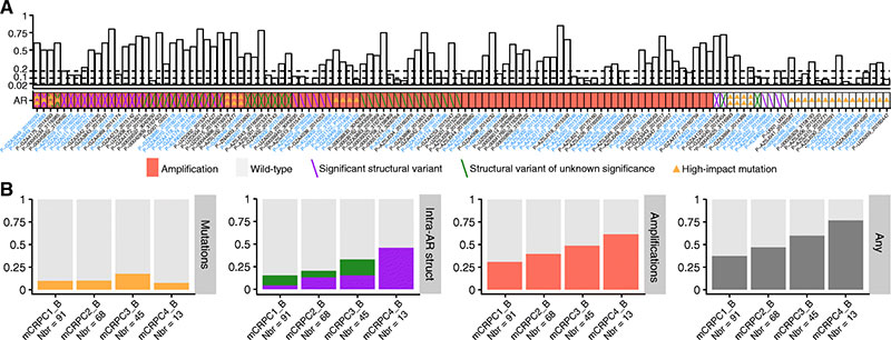 Comprehensive profiling of androgen receptors in cell-free DNA samples from metastatic castration-resistant prostate cancer (mCRPC) patients.