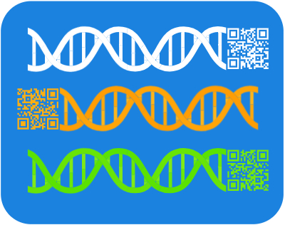 Coding and noncoding transcript production from DNA