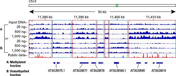 Methylation patterns in aligned NGS libraries from enriched DNA