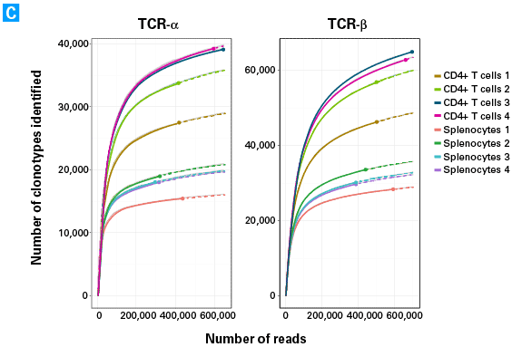 Assessment of TCR diversity in mouse spleen samples