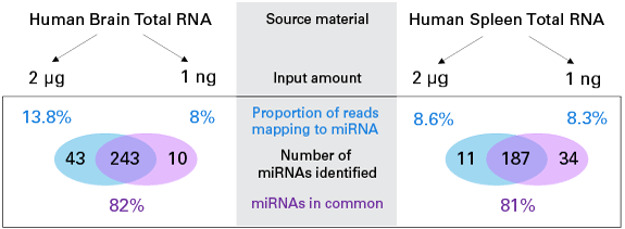 Overlap of miRNAs identified across input amounts