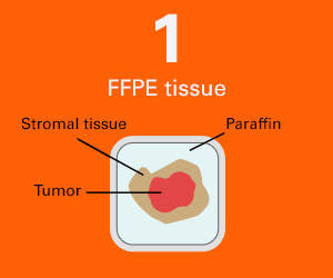 1: FFPE tissue