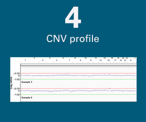 4: CNV profile