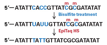 Bisulfite treatment process