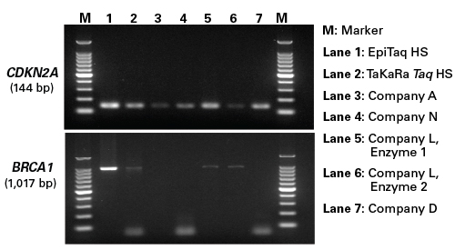 Comparison of amplification efficiencies between EpiTaq HS DNA Polymerase and five other polymerases.