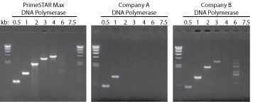 fast polymerase data