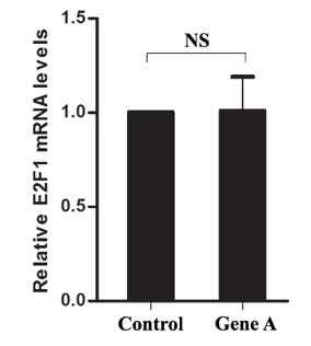 E2F1 mRNA levels of HEK293 cells.