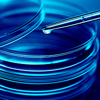 Sterility and mycoplasma testing