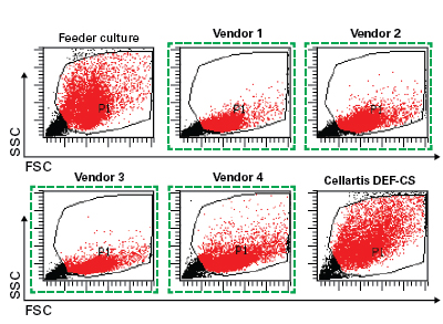 Comparison of growth rate between culture systems