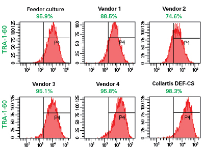 Scatter plot of SSC versus FSC