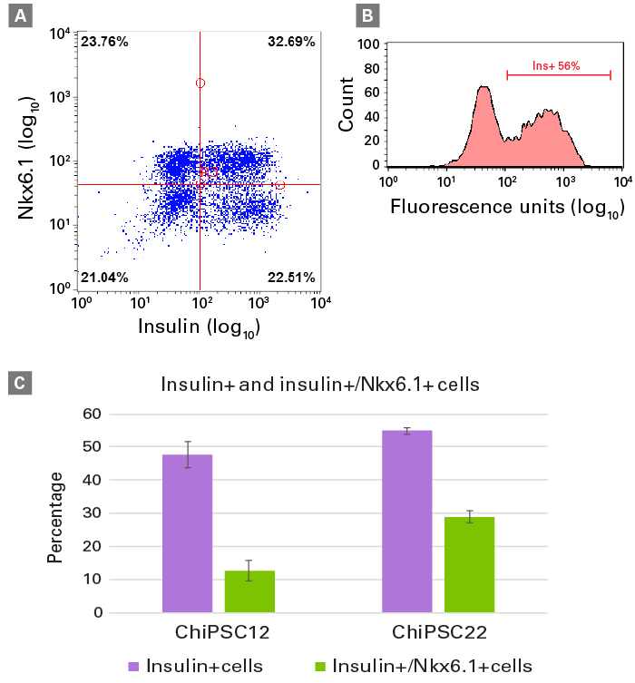 Quantitative determination of insulin/Nkx6.1 double-positive cells in hiPS cell-derived beta cells.