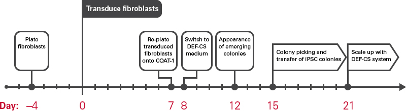 Cellartis DEF-CS 500 culture system reprogramming timeline