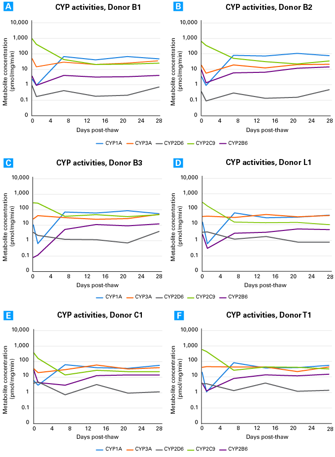 CYP activities in primary hepatocytes cultured in Cellartis Power Primary HEP Medium for 28 days