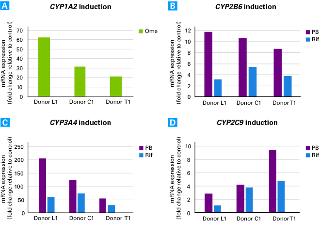 Induction of CYP mRNA expression in primary hepatocytes cultured in Cellartis Power Primary HEP Medium