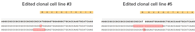 Sequencing analysis of edited clones