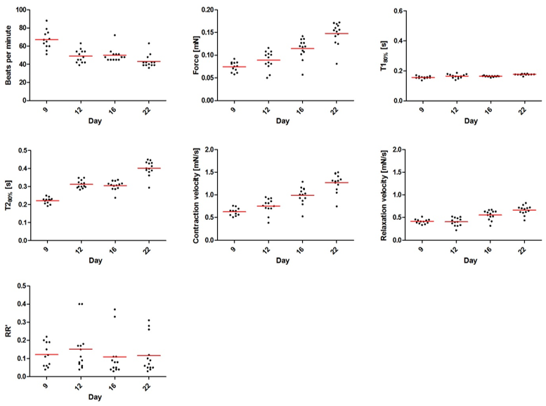 Baseline contractility of Cellartis engineered heart tissue