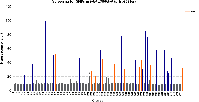 Screening for SNPs in FAH gene in clonal cell lines