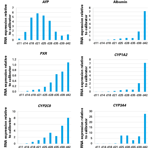 Human iPS hepatocytes human metabolic diversity